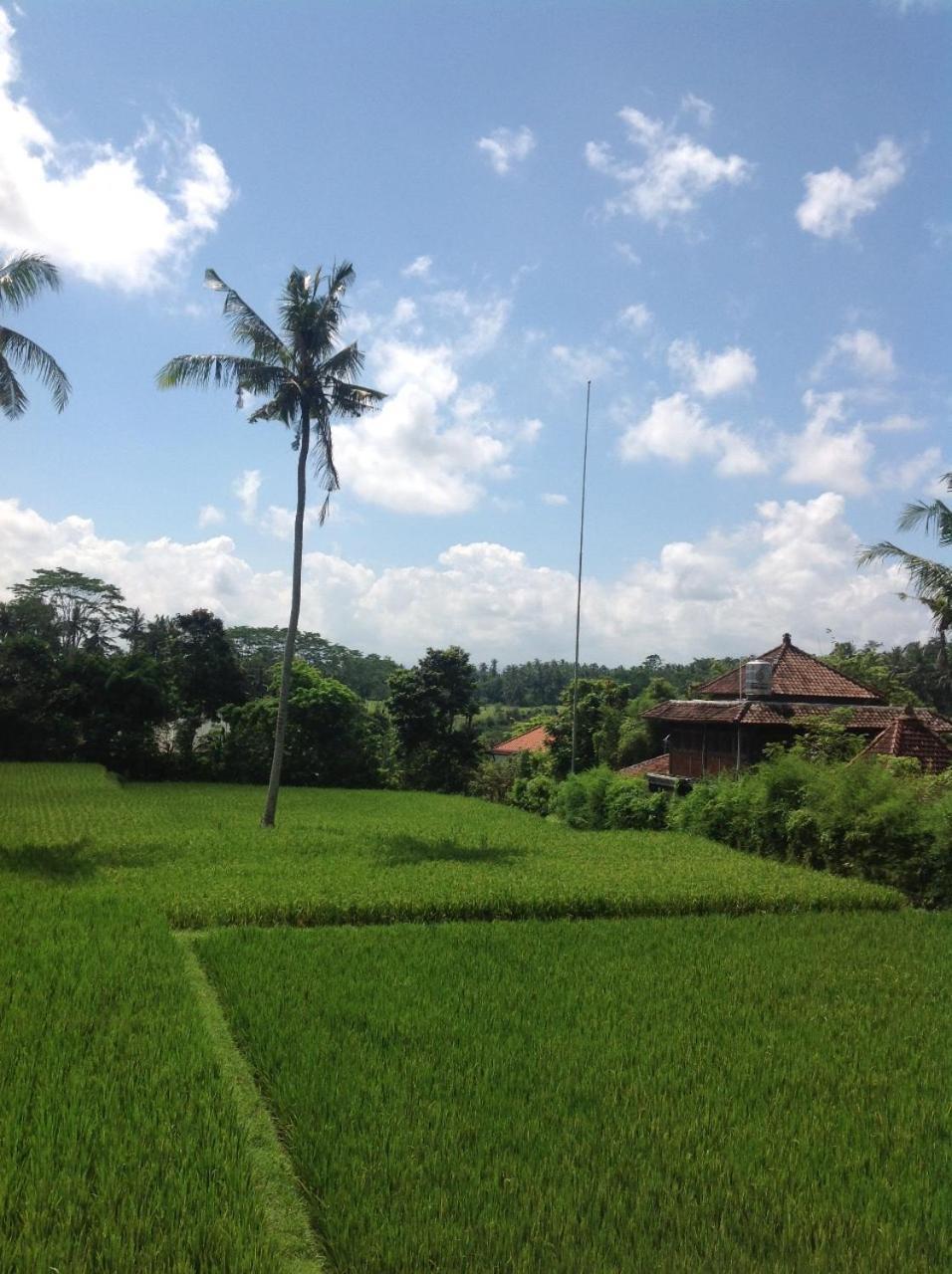 Uma Dhari Villa By Prasi Ubud Exterior foto