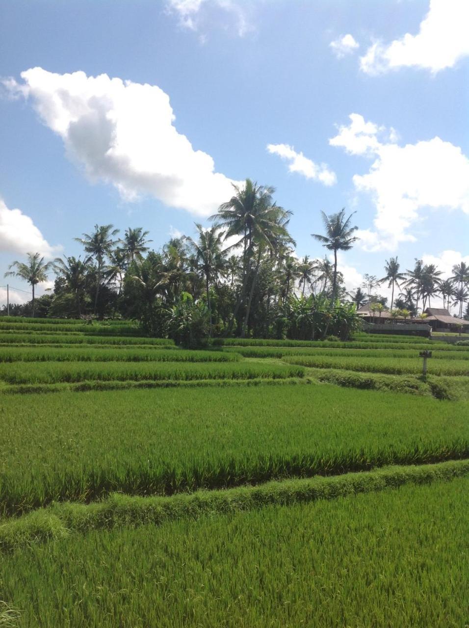 Uma Dhari Villa By Prasi Ubud Exterior foto